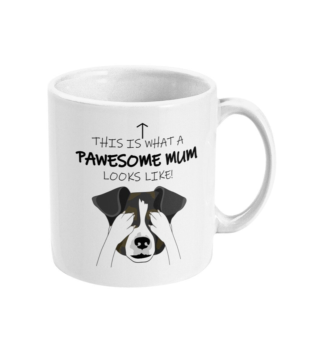 This Is What A Pawesome Mum Looks Like Mug - Great Mother's Day Gift - Fast Same Day Dispatch - Topbootee